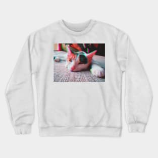 Aesthetic Cat Crewneck Sweatshirt